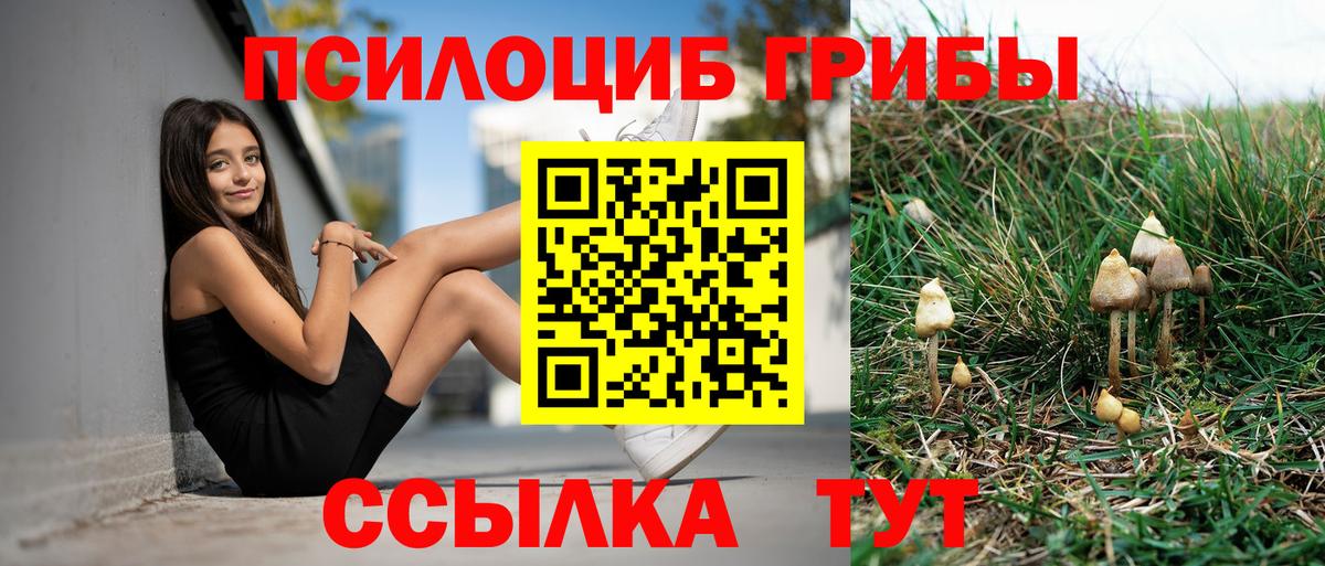 Псилоцибиновые грибы MAGIC MUSHROOMS Вышний Волочёк