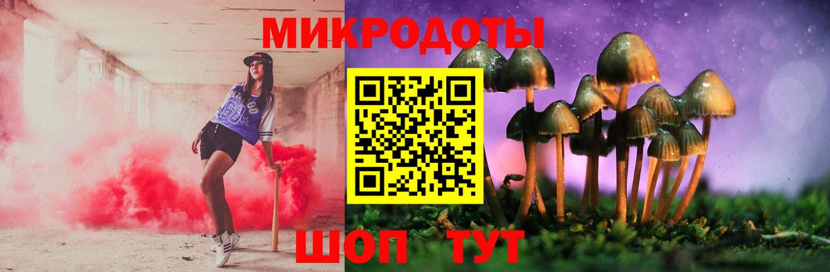 Вышний Волочёк  Галлюциногенные грибы прущие грибы  Вход с VPN 